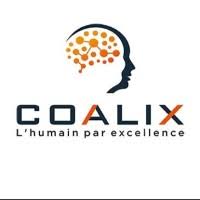 Example Partner 5 logo